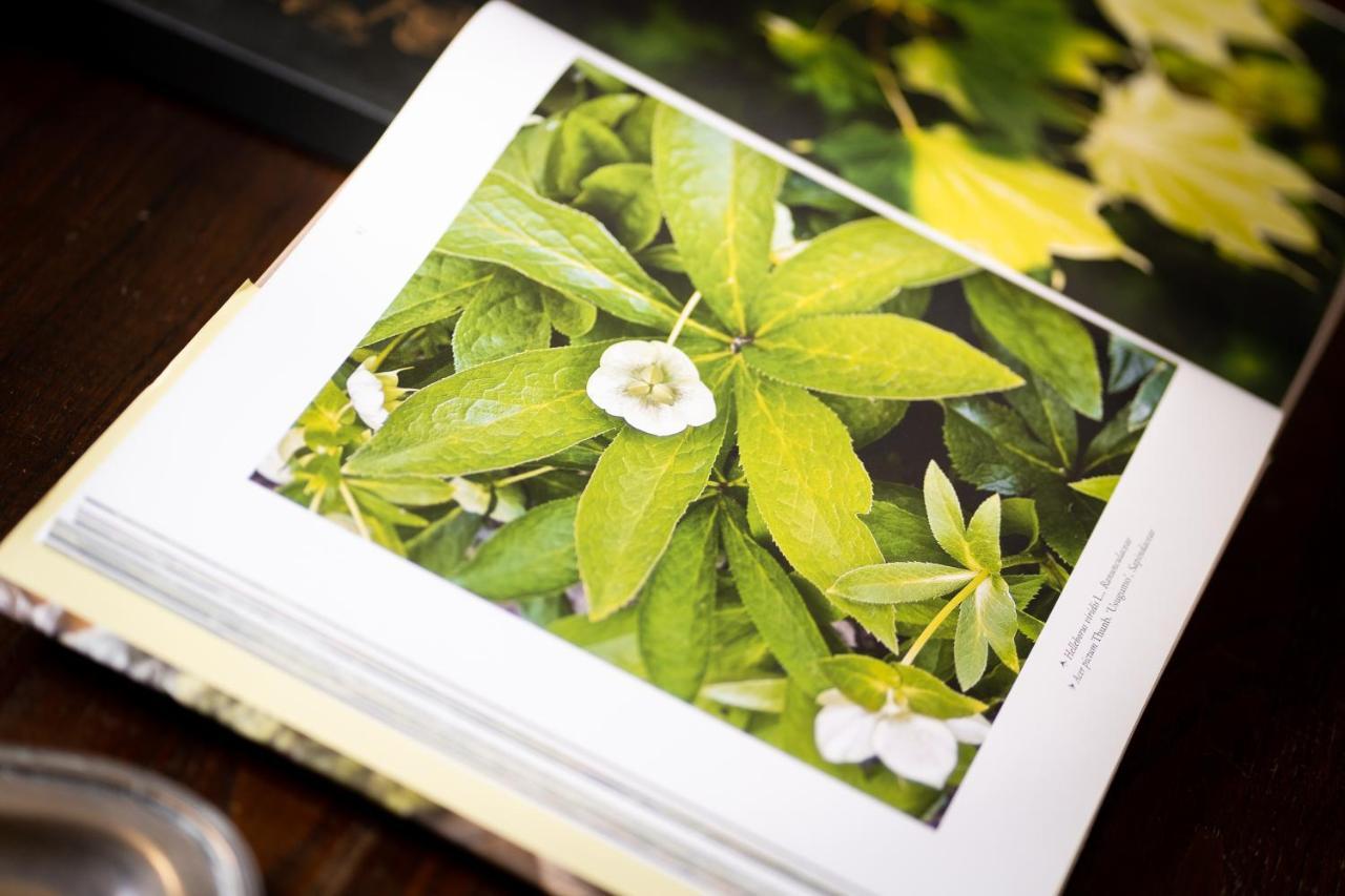 Casale Delle Lavande ชิตตา ซานตันเจโล ภายนอก รูปภาพ