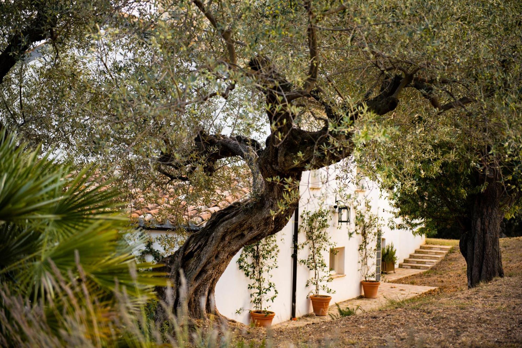 Casale Delle Lavande ชิตตา ซานตันเจโล ภายนอก รูปภาพ