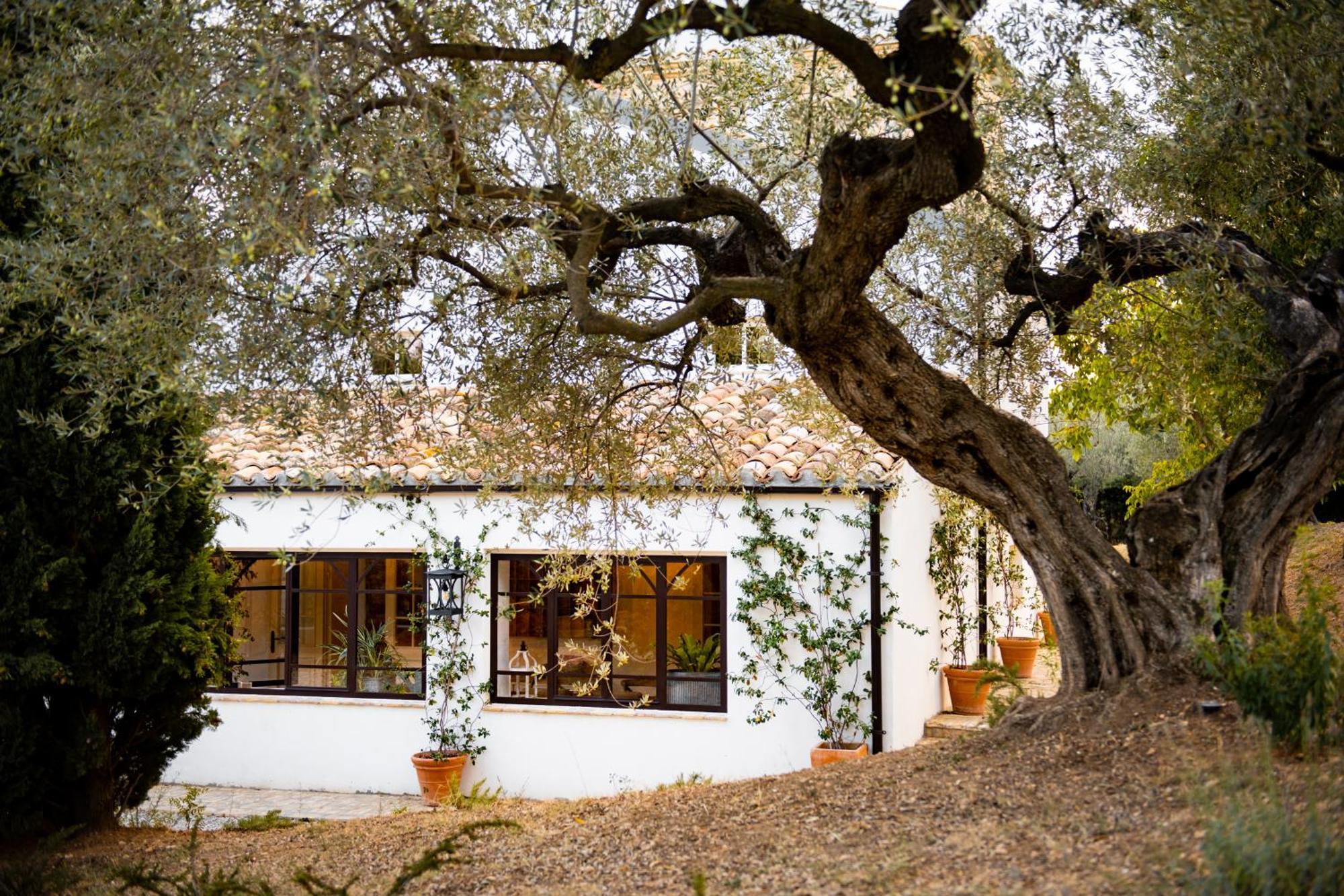Casale Delle Lavande ชิตตา ซานตันเจโล ภายนอก รูปภาพ